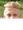 Sebastian Oberkofler