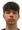 Ante Pripuz Spekuljuk