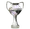Puchar Włoch (Serie C)