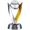 Superpuchar Gruzji