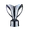 AFC Champions League Two
