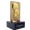 Mistrzostwo 2. ligi Francji