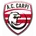 Athletic Carpi
