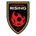 Phoenix Rising