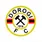 Dorogi FC