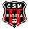 CSM Reşiţa