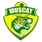 Muscat