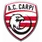 Athletic Carpi