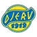 Djerv 1919