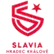 Slavia Hradec Králové