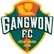 Gangwon FC
