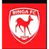 Binga